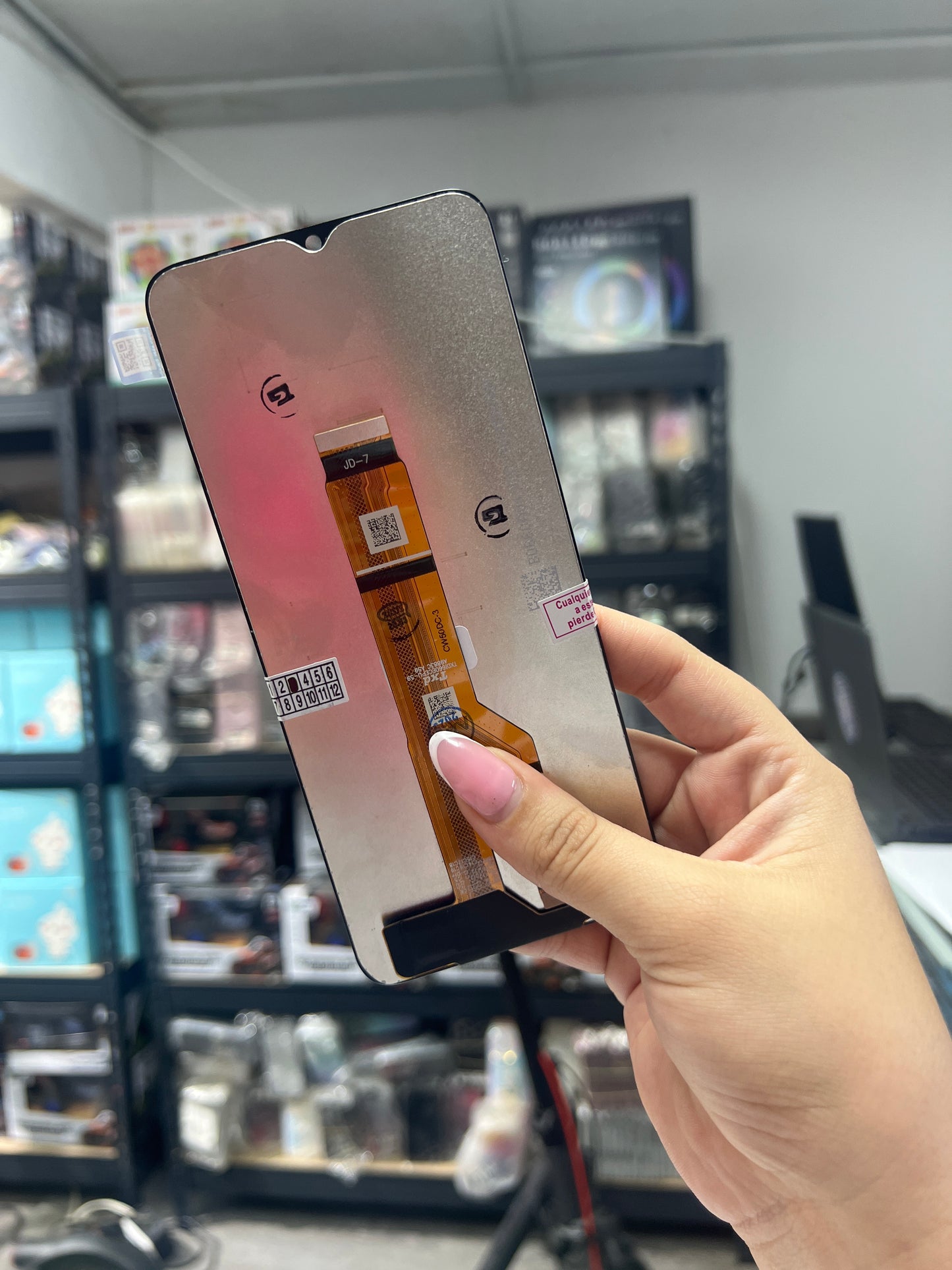HONOR X6B